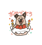 雑種犬あんず（個別スタンプ：17）