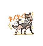 雑種犬あんず（個別スタンプ：20）