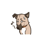 雑種犬あんず（個別スタンプ：22）