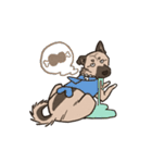 雑種犬あんず（個別スタンプ：24）