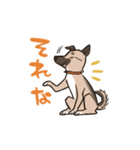 雑種犬あんず（個別スタンプ：27）