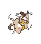 雑種犬あんず（個別スタンプ：33）