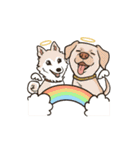 雑種犬あんず（個別スタンプ：40）