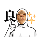 猫白人間（個別スタンプ：8）