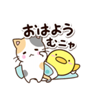お茶目な三毛猫×まるピヨ（個別スタンプ：1）