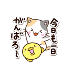 お茶目な三毛猫×まるピヨ（個別スタンプ：4）
