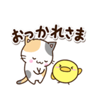 お茶目な三毛猫×まるピヨ（個別スタンプ：5）