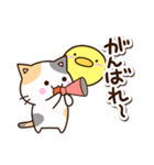 お茶目な三毛猫×まるピヨ（個別スタンプ：16）