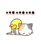 お茶目な三毛猫×まるピヨ（個別スタンプ：31）