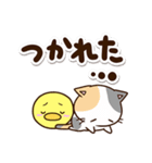 お茶目な三毛猫×まるピヨ（個別スタンプ：35）