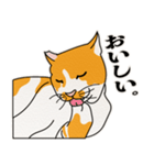 ありのままの猫でいい（個別スタンプ：7）