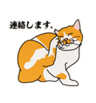 ありのままの猫でいい（個別スタンプ：11）