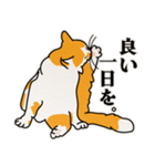 ありのままの猫でいい（個別スタンプ：16）