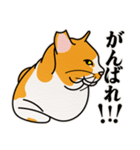 ありのままの猫でいい（個別スタンプ：19）