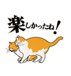 ありのままの猫でいい（個別スタンプ：23）