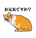 ありのままの猫でいい（個別スタンプ：30）