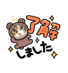 景虎(カゲトラ)君の成猫スタンプ3☆（個別スタンプ：6）