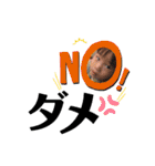Yamato✩taiga✩.*˚（個別スタンプ：13）