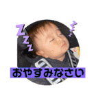 チビタロウ第4弾（個別スタンプ：17）