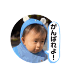 チビタロウ第4弾（個別スタンプ：21）