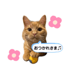 LEO (1)（個別スタンプ：2）