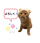 LEO (1)（個別スタンプ：5）