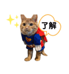 LEO (1)（個別スタンプ：6）