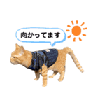 LEO (1)（個別スタンプ：14）