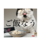 ぼたちんの愛しいスタンプ（個別スタンプ：14）