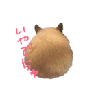 めるちゃーん（個別スタンプ：1）