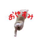 めるちゃーん（個別スタンプ：3）