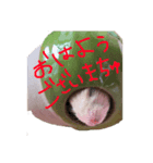 めるちゃーん（個別スタンプ：7）