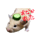 めるちゃーん（個別スタンプ：8）