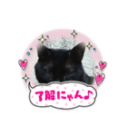 kuroチャン（個別スタンプ：9）