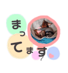 ここまなひwithウィル（個別スタンプ：7）