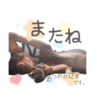ここまなひwithウィル（個別スタンプ：20）