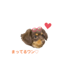 メンタルケアマネージャー福太郎（個別スタンプ：6）