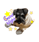 カールくん！ガチャガチャ文字（個別スタンプ：7）