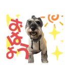 カールくん！ガチャガチャ文字（個別スタンプ：9）