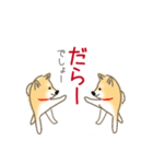 三河弁柴犬1（個別スタンプ：24）