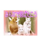 猫だらけの卒業シーズン到来（個別スタンプ：1）