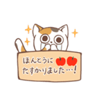 【敬語】かわいいねこのていねいことば（個別スタンプ：23）