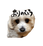 きゃらめるだよー（個別スタンプ：14）