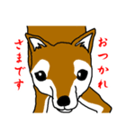 忠犬・論ちゃん（個別スタンプ：3）