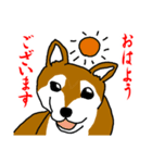 忠犬・論ちゃん（個別スタンプ：4）