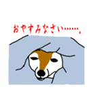 忠犬・論ちゃん（個別スタンプ：6）