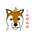 忠犬・論ちゃん（個別スタンプ：8）