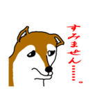 忠犬・論ちゃん（個別スタンプ：10）