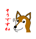 忠犬・論ちゃん（個別スタンプ：11）