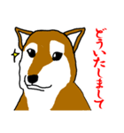 忠犬・論ちゃん（個別スタンプ：12）